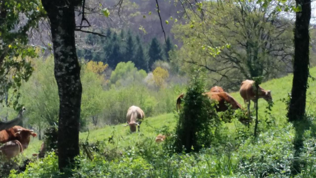 Bed and Breakfast Combecave Vabre-Tizac Zewnętrze zdjęcie